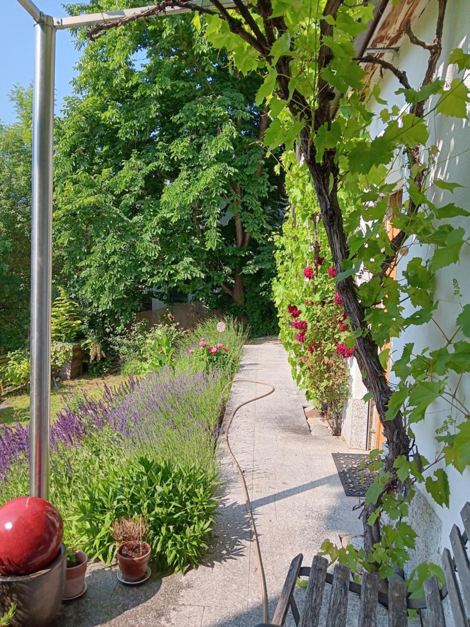 Studio Ualysses Арцль  Экстерьер фото